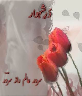shehwar-title.jpg